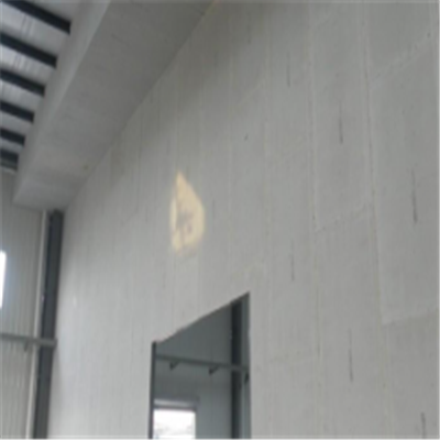 东山宁波ALC板|EPS加气板隔墙与混凝土整浇联接的实验研讨